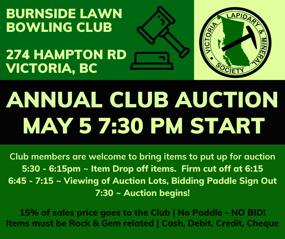 2025 VLMS Club Members Auction