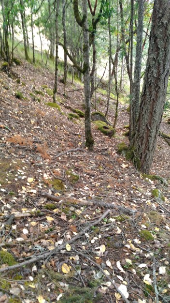 Trail to Ralph Mine